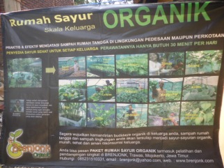 Pamflet Home Industry Rumah Sayur Organik 